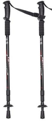 Скандинавские палки для прогулок