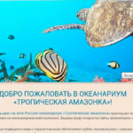 корпоративнсайт