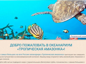 Создадим сайт и запустим рекламу за копейки и % от продаж (Акция) Создадим сайт и запустим рекламу за копейки и % от продаж (Акция)