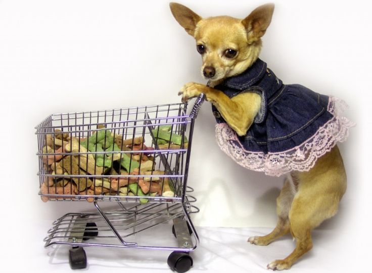 Для животных