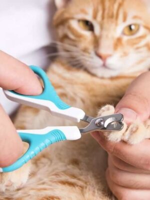 Подрезание когтей Подрезание когтей