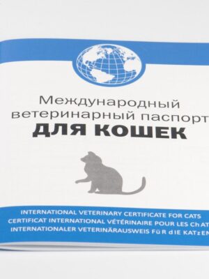 Оформление ветеринарного паспорта домашнего животного Оформление ветеринарного паспорта домашнего животного