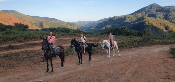 Катание на лошадях