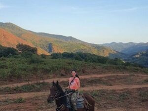 Катание на лошадях Катание на лошадях