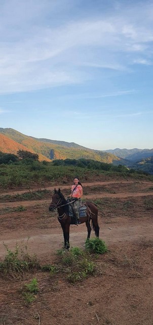 konnie-progulki11 Конный клуб