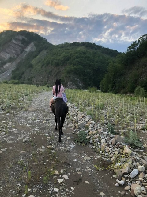 konnie-progulki20 Конный клуб