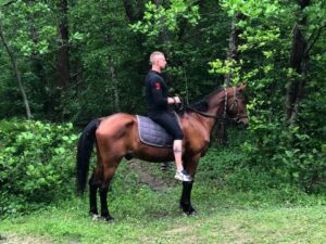 Катание на лошадях Катание на лошадях