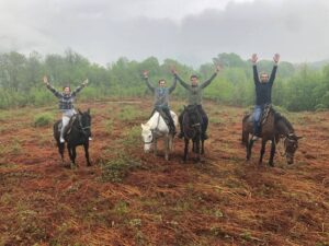 Катание на лошадях Катание на лошадях