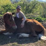 konnie-progulki32 Конный клуб