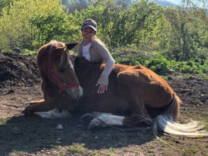 Прогулка на лошадях на заказ Прогулка на лошадях на заказ
