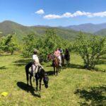 konnie-progulki33 Конный клуб