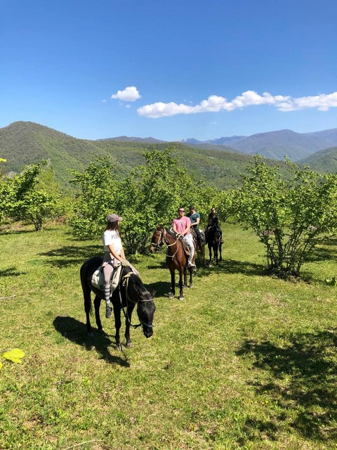 konnie-progulki33 Конный клуб