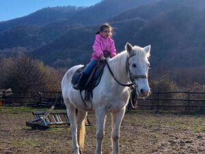 Прогулка на лошадях на заказ Прогулка на лошадях на заказ