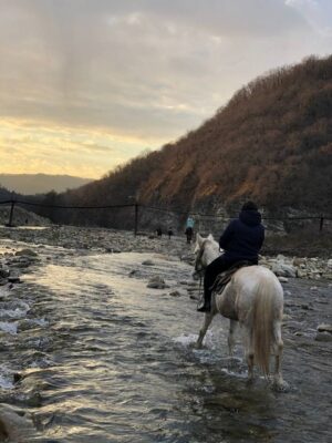 Конный клуб