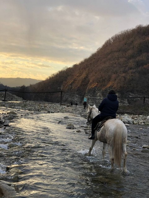 konnie-progulki6 Конный клуб