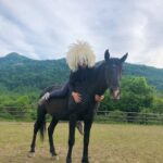 konnie-progulki9 Конный клуб