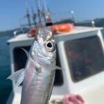 Рыбалка на катере