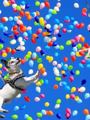 Путеводитель курорта Пятигорск. Карта развлечений Путеводитель курорта Пятигорск. Карта развлечений