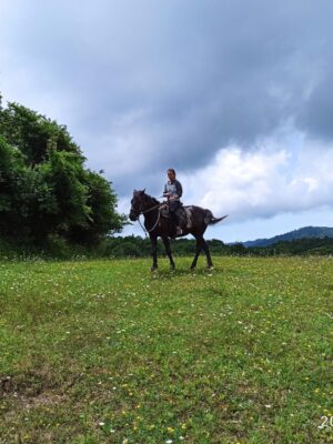 Конная прогулка на смотровую площадку Конная прогулка на смотровую площадку