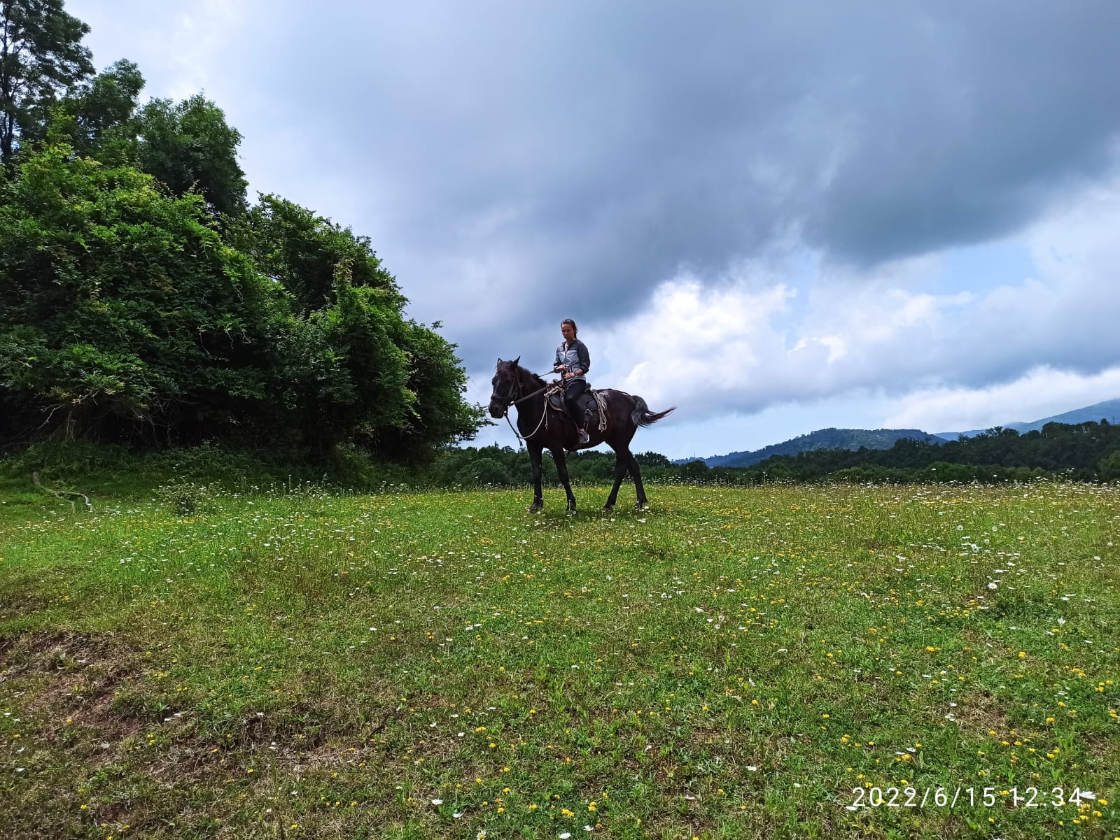 Прогулка на лошадях на заказ Прогулка на лошадях на заказ