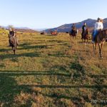 Конные прогулки Сухой Каньон ПятигорскWhatsApp Image 2022-11-23 at 08.54.35 (1) Вечерние Конные прогулки Сухой Каньон Пятигорск