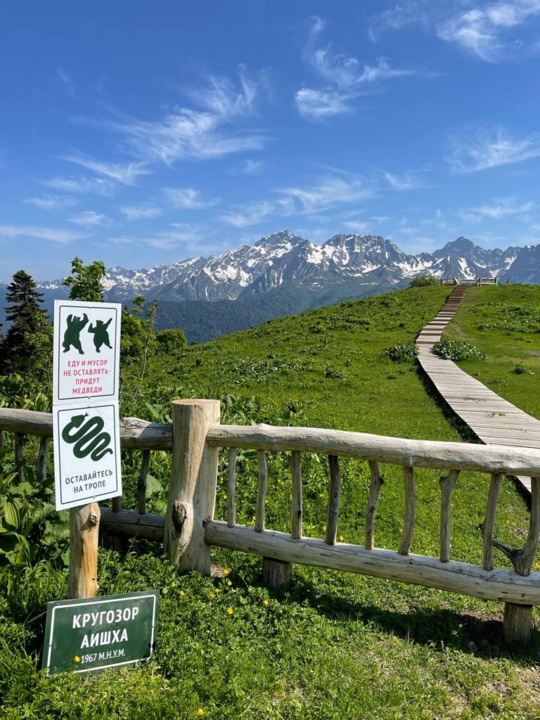 Договор аренды квадроцикла: на какие пункты обратить особое внимание перед его подписанием?