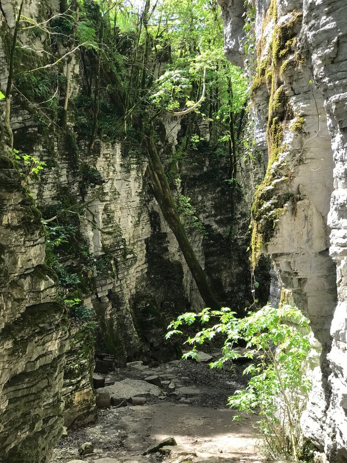 Тур на квадроциклах в Пятигорске по Сухому и Мокрому каньонам