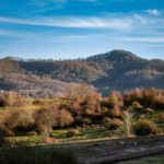 Тур на квадроциклах в Пятигорске по Сухому и Мокрому каньонам