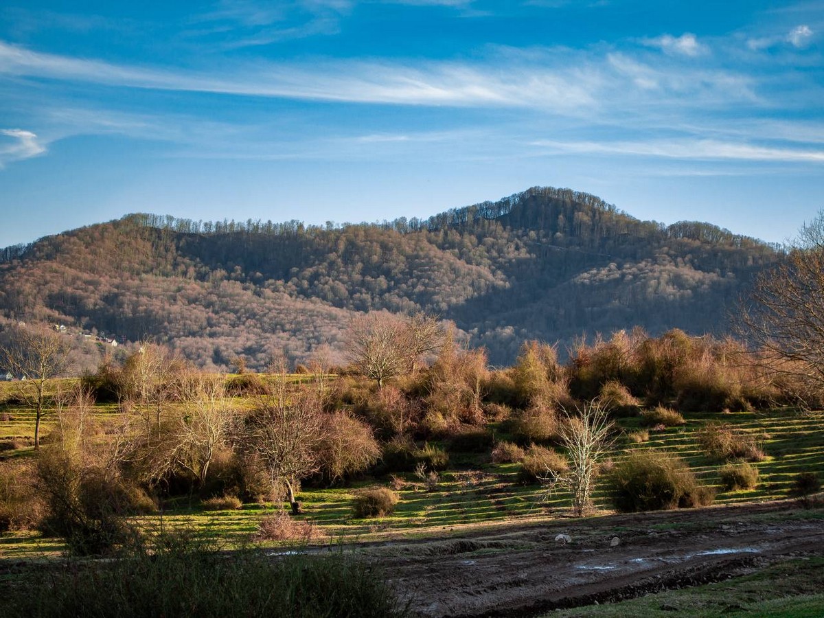 Тур на Квадроциклах в Пятигорске по каньонам Псахо