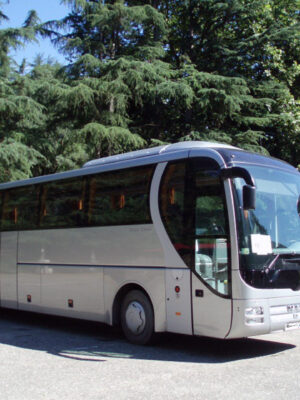 MAN R80 Lion`s Coach