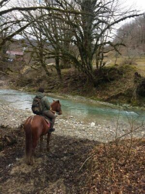 Конные прогулки