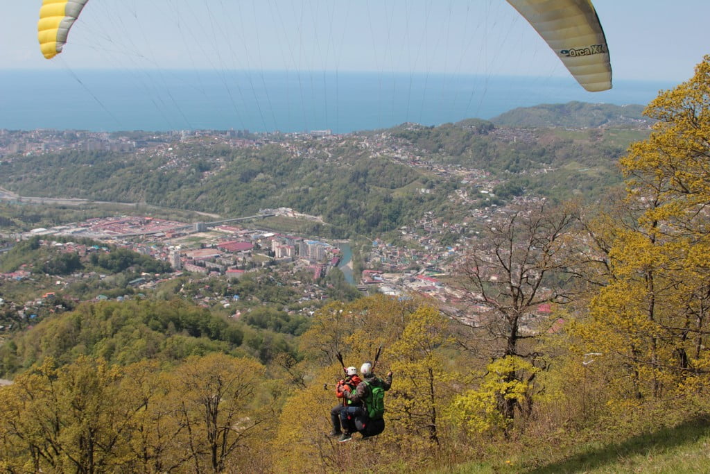 Аниматоры Аниматоры