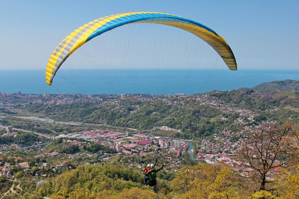 Аниматоры Аниматоры