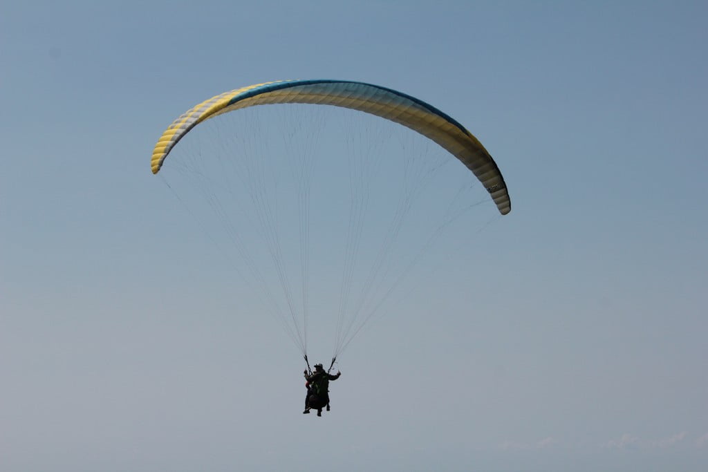 Аниматоры Аниматоры