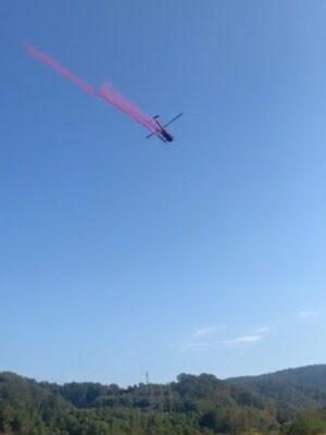 Gender party (Гендер Пати ) Gender party (Гендер Пати )