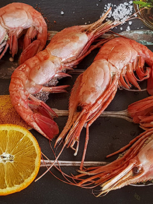 Доставка Раков и Креветок в Пятигорске Доставка Раков и Креветок в Пятигорске
