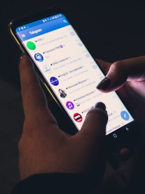 Подписчики в Телеграм